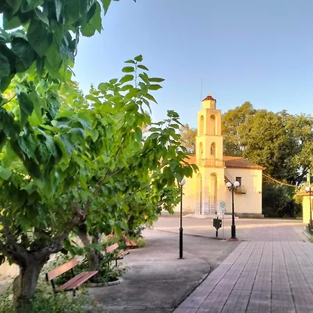 Peaceful Retreat In Olive Grove With Endless Views Διαμέρισμα