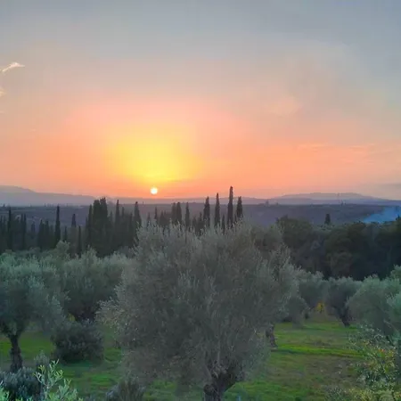 Peaceful Retreat In Olive Grove With Endless Views *