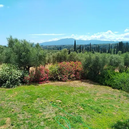 Peaceful Retreat In Olive Grove With Endless Views *